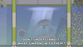 manatee swimming GIF by South Park 