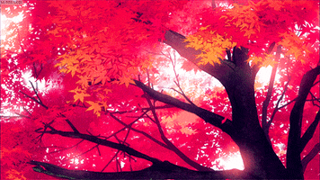 wu red tree GIF