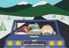 pulling over eric cartman GIF by South Park 