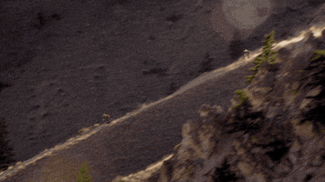 200.gif?cid=fc005b084c842732e60e6bc2c4825cdba2b45ae1e45bce1c&rid=200.gif&ct=g