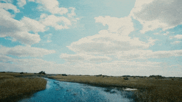 kurt cobain GIF by SideOneDummy Records