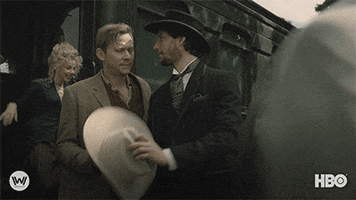 Jimmi Simpson William GIF by Westworld HBO