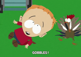 Timmy Burch Gobble Gobble GIF by South Park