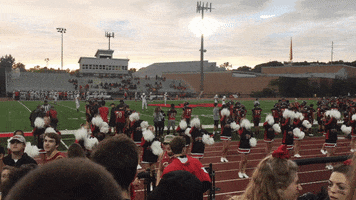 siena westside cheerleaders GIF