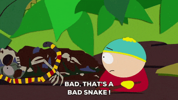 eric cartman scold GIF by South Park 