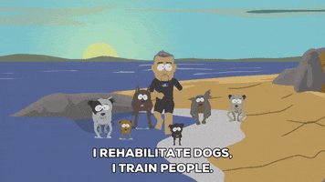dogs running GIF by South Park 