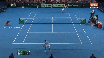 bolamarela tennis GIF