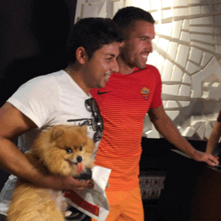 dog funny dogs GIF by AS Roma