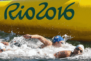 candidohenriquesilva okimoto GIF