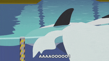 sea world water GIF by South Park 