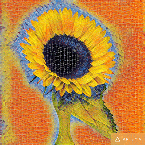ralfneuhauser sunflower prisma art filter GIF
