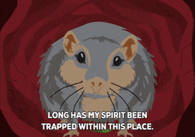 hamster spirit GIF by South Park 