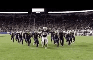 college football mascot GIF by Ben L