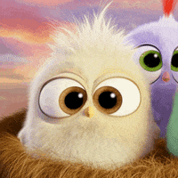 Mothers Day Mom GIF by Angry Birds