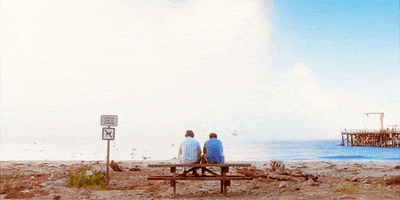Paul Giamatti Beach GIF by Sideways - The Play
