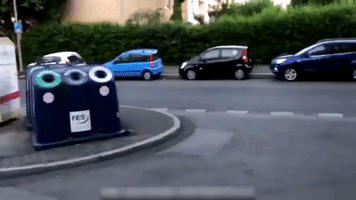 Chasing Thug Life GIF