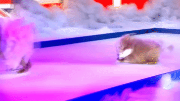 200.gif?cid=fc005b087305f4991c730de580128ae63d4c0a33f71b4017&rid=200.gif&ct=g