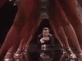 legs for days GIF by The Academy Awards