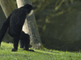 200.gif?cid=f0bdee706fu2oh3003fh3fwx38b6ypf9ribjnpz3d026qr87&rid=200.gif&ct=g