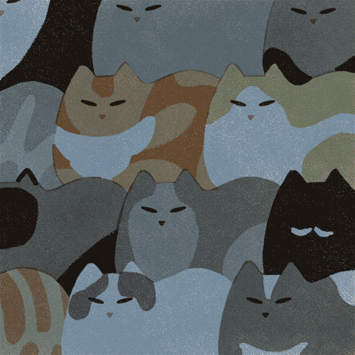 Sleepy Cats GIFs Get the best GIF on GIPHY