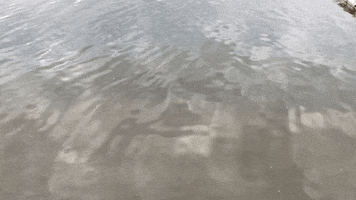 abstract water is life GIF by cloudy