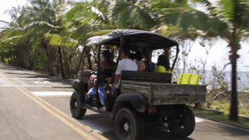 Magical hotelcasablancasanandres GIF