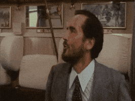 edizionilindau movie film dino risi vittorio gassman GIF