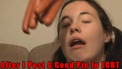 LGBTLiquorGunsBaconandTits  GIF