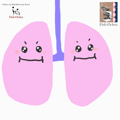 NewOrderMX breathe pulmones GIF