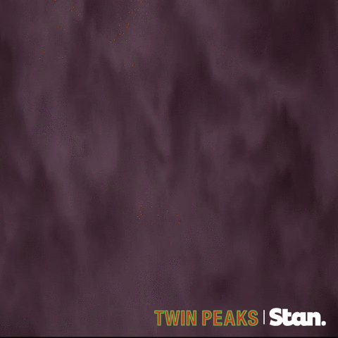 twin peaks GIF by Stan.