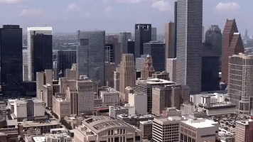 houston-cougar houston Htown cougar h town GIF