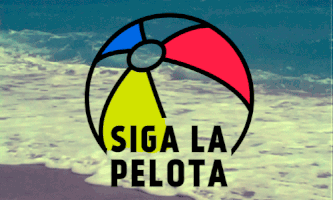 bravodiego carnaval mar praia bloco GIF