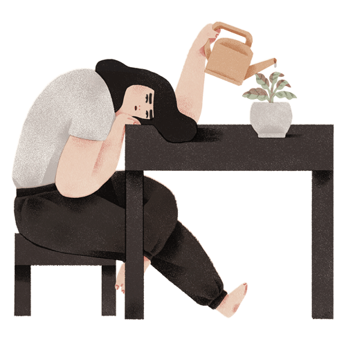 Do you like to keep plants in your home Maybe post a picture of a plant you own