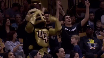 mbb GIF by UCF Knights