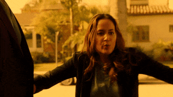 angry fox tv GIF by Rosewood