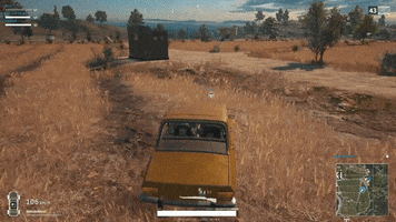 battlegrounds GIF by gaming