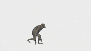 exponential progress GIF by Product Hunt