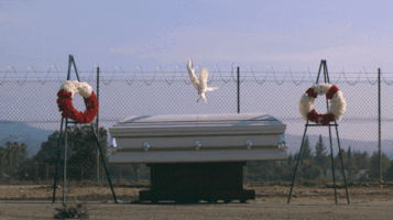 Funeral Caskets GIF by Party Favor