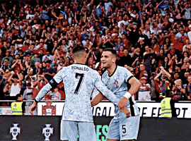 Portugal National Team Hug GIF