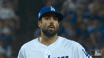 Los Angeles Dodgers Smh GIF by MLB