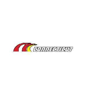 ctwindowfilmandtinting Sticker