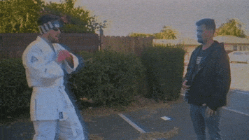 Kung Fu Fight GIF by BabylonBee