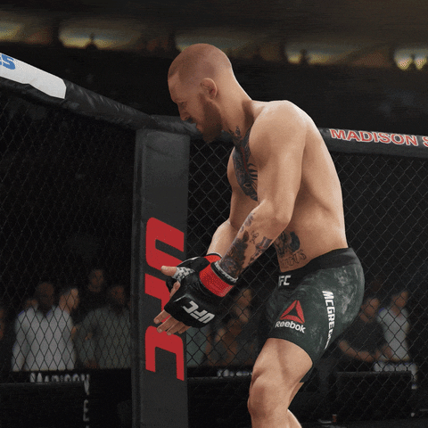 fight champion GIF by EA SPORTS UFC