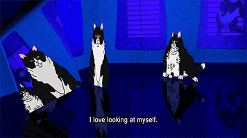 Love Yourself Cats GIF by Spaghetti
