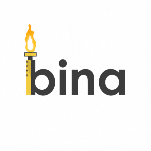 Bina.Application GIF