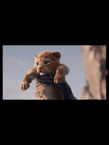 Animated GIF