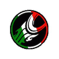 Kitesurf Sticker by CabrinhaKites