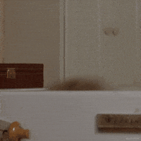 200.gif?cid=f0bdee70028l2micmol6krwbr4etxujmv6ler6ue08kve1xg&rid=200.gif&ct=g
