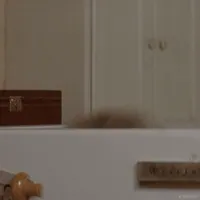 Robin Williams Hello GIF by 20th Century Fox Home Entertainment