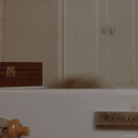 https://media3.giphy.com/media/28GHfhGFWpFgsQB4wR/giphy.gif?cid=6c09b952e9e11232949c99af56b867f9cdbb2fc6e470db7c&rid=giphy.gif&ct=g